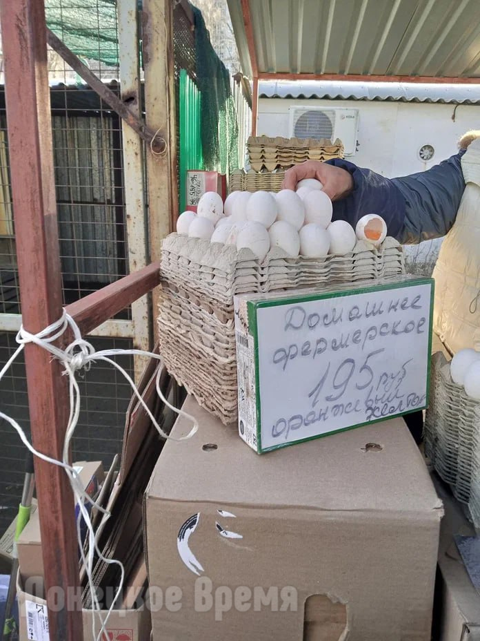ФАС предостерегает магазины от повышения цен на яйца перед Пасхой/Фото: Виктория Павлова, цены на яйца в декабре 2023 года