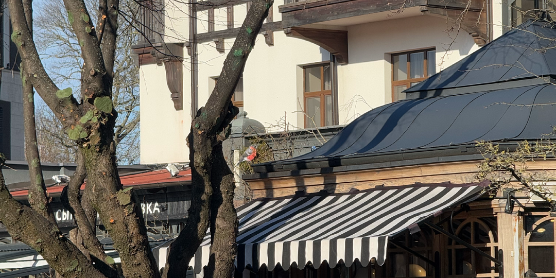 Маршрут по Зеленоградску: самому европейскому городу в России