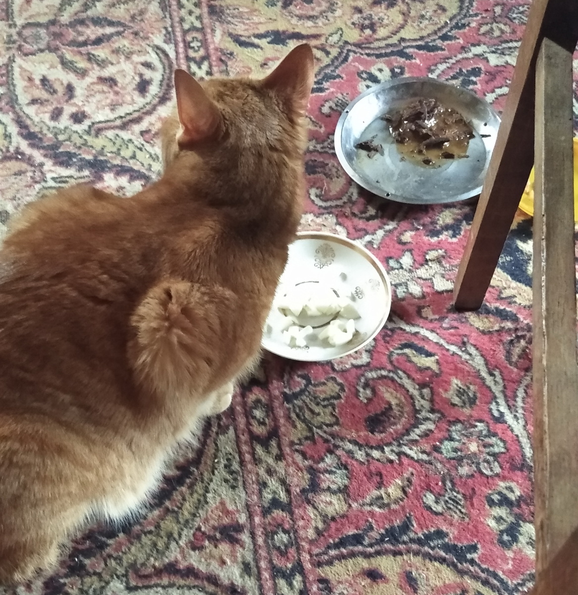 личное   фото