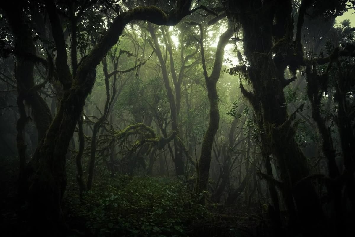 Источник: pinterest.com