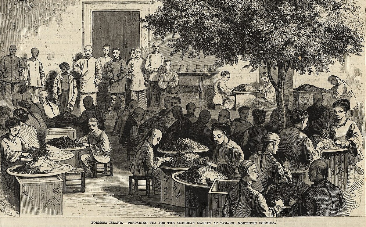 Подготовка чая для американского рынка в Тамсуе, северная Формоза