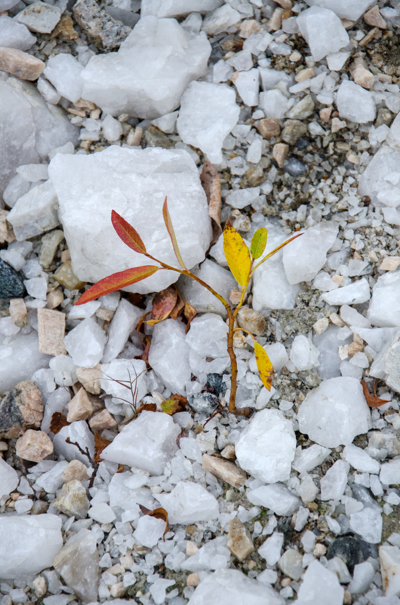 Фрагмент чупинской мостовой