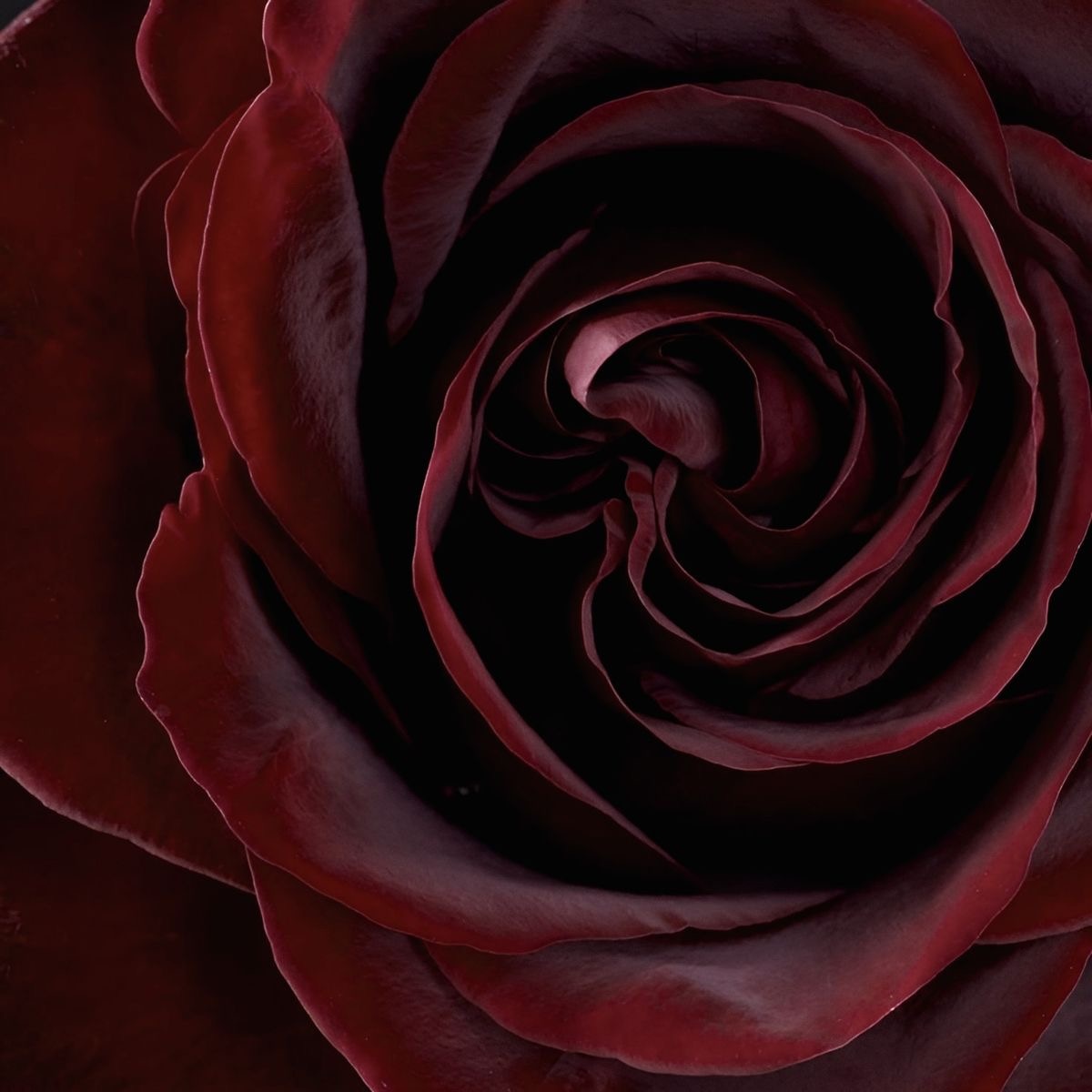 Источник: pinterest.com