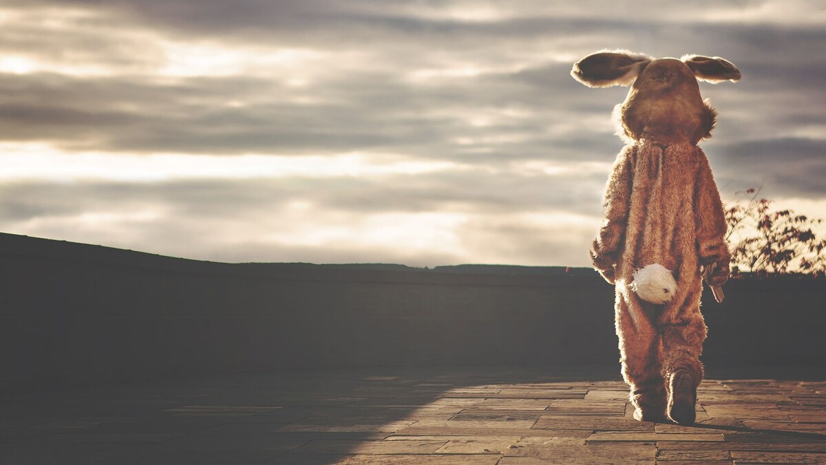     Трусливый заяц   
(сс) RyanMcGuire