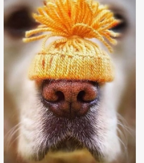 Выходные на носу.