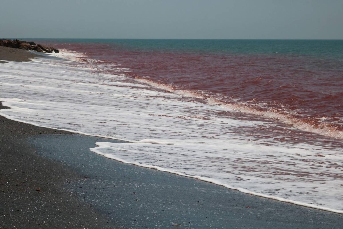     Побережье Ирана. Вид на Ормузский пролив   
(cc) Abolhassan Neghabi