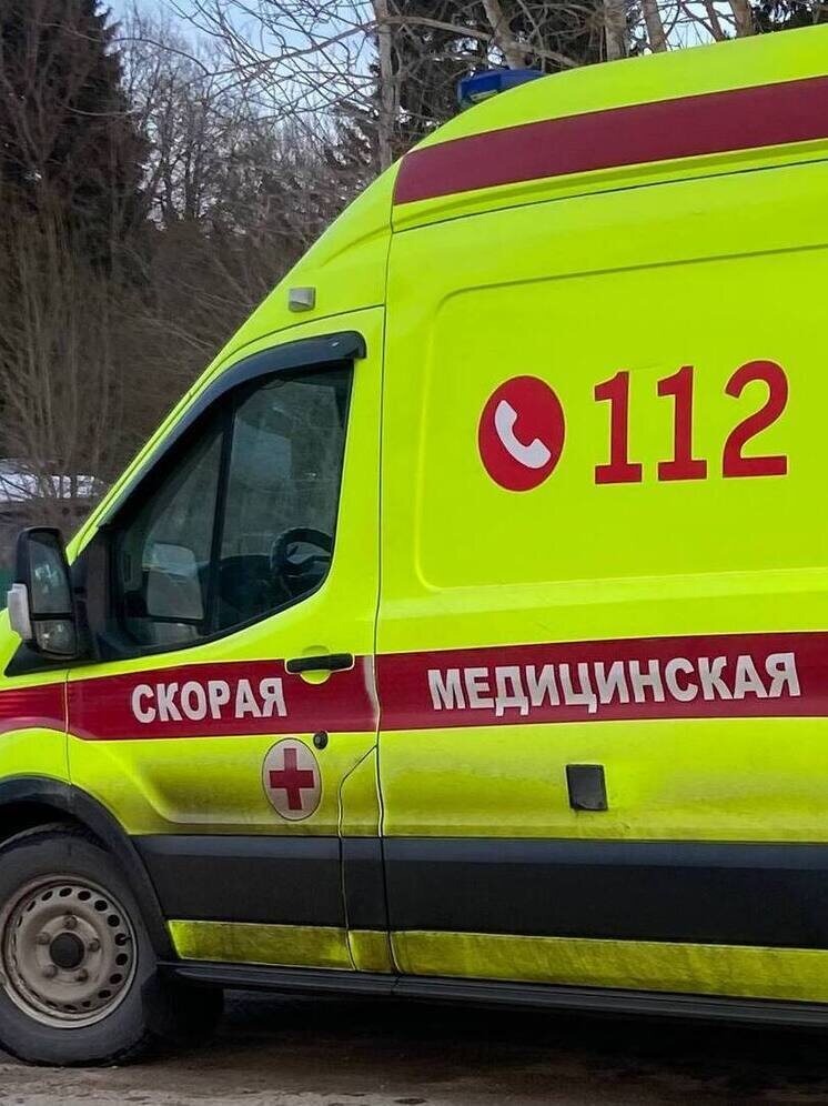   Елена Полякова