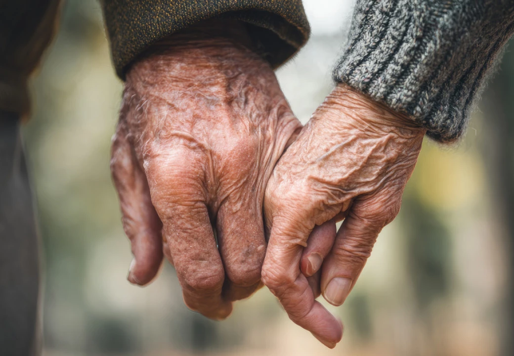 Фото: HOBBIT13 | Shutterstock | Fotodom