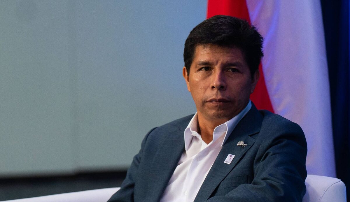     Педро Кастильо   
(cc) Gobierno de Chile / Fernando Ramirez