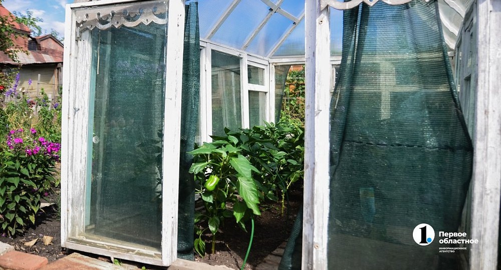 В Челябинске спрос на благоустройство садовых участков вырос в 2 раза