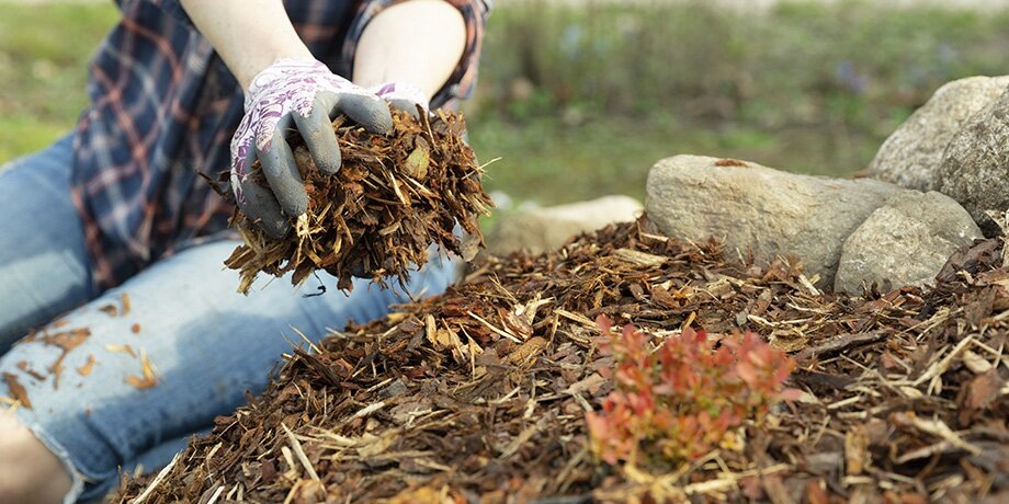    Фото: 123RF.com/artursfoto