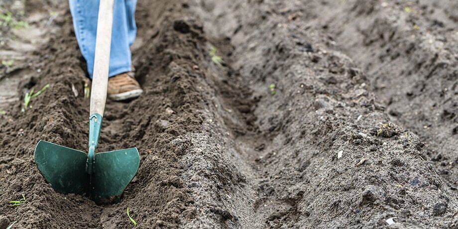    Фото: 123RF.com/alicjane