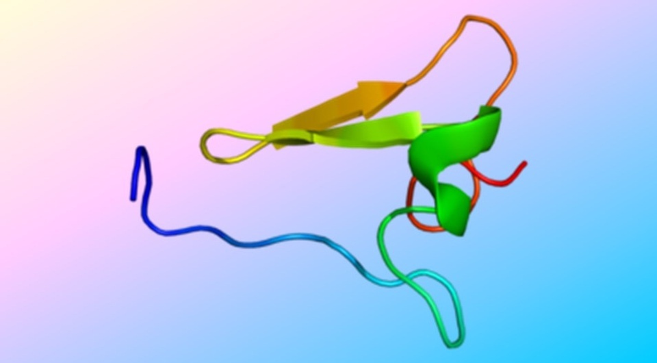   N + 1; Emw / Wikimedia Commons / CC BY-SA 3.0