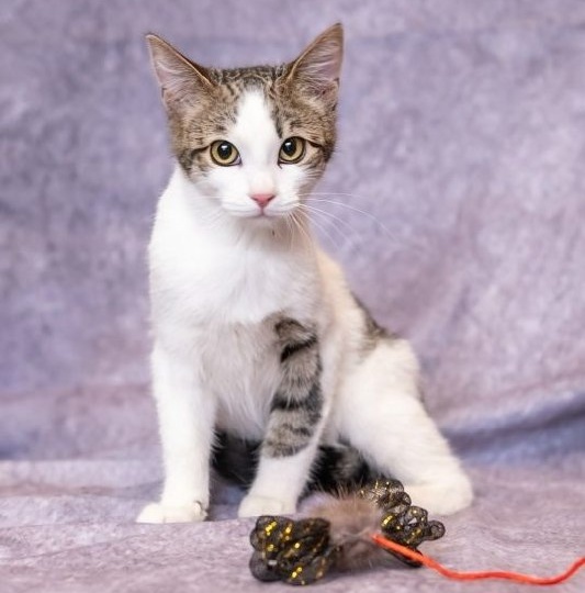 #найдидруга_28марта представляет юную Шерри