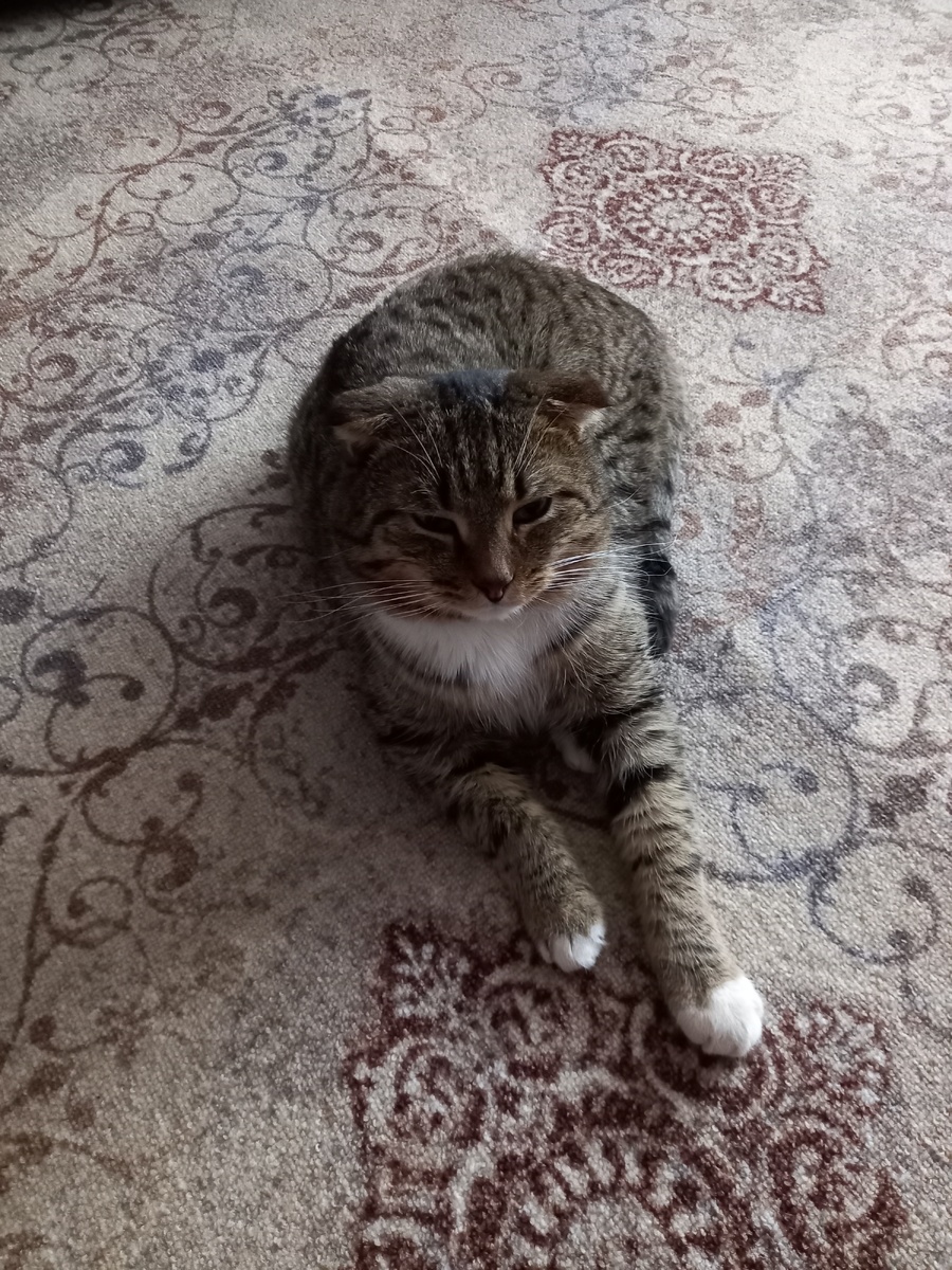 Один из 600 млн