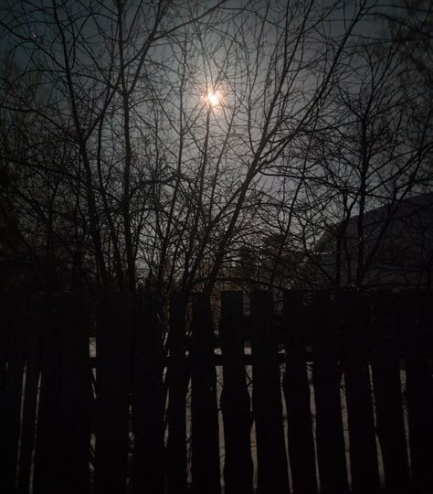 Пойди туда - не знаю куда...Глава 10