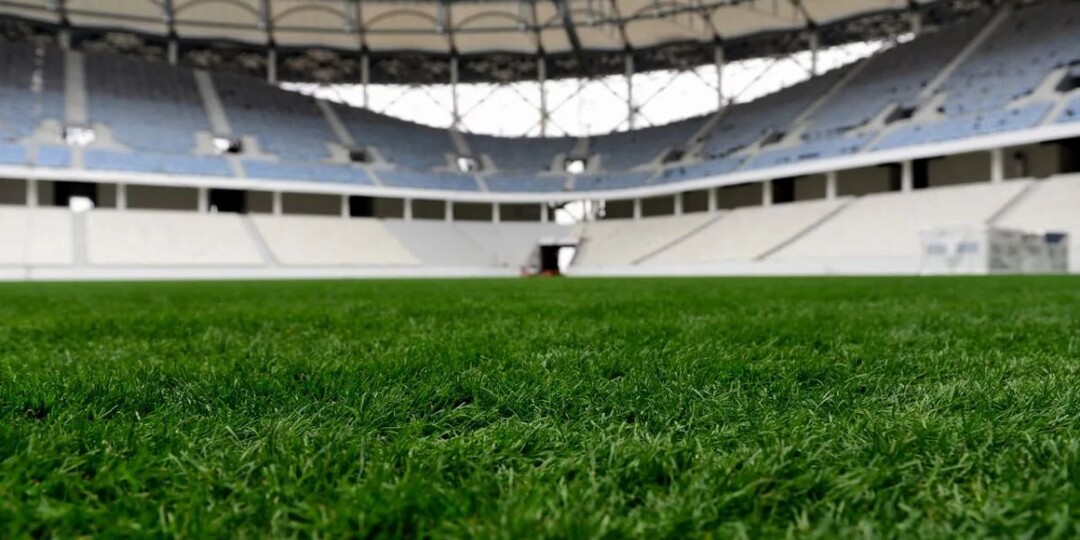 Сборная России проведет матч в Петербурге с четвертьфиналистом Кубка Африки