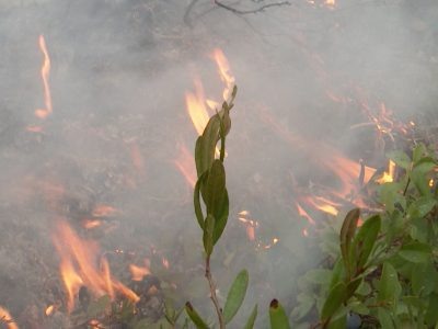    Фото: ГТРК Карелия