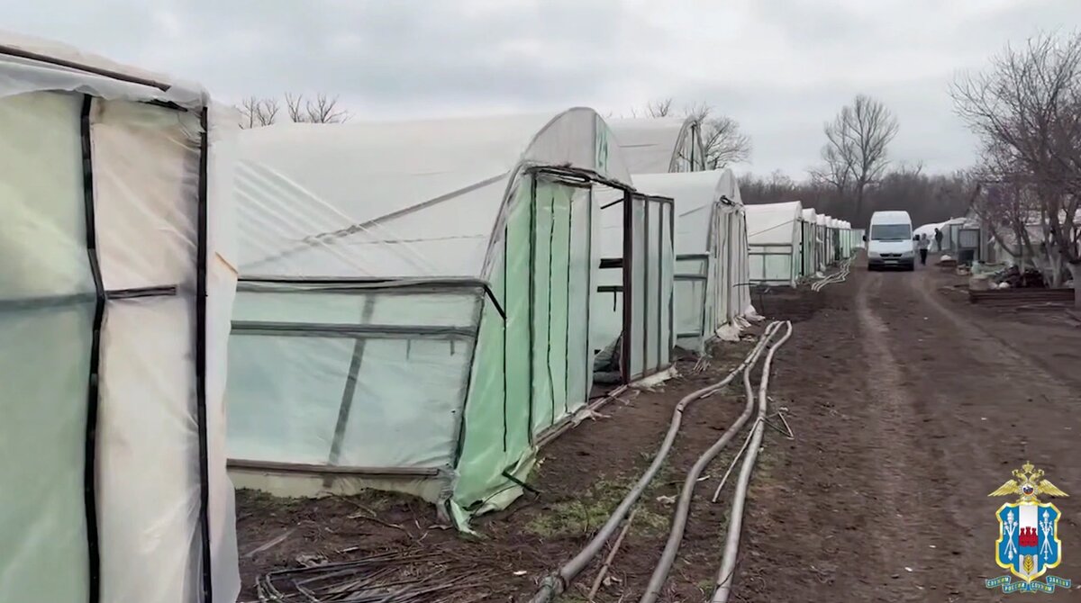    Фото: МВД по Ростовской области