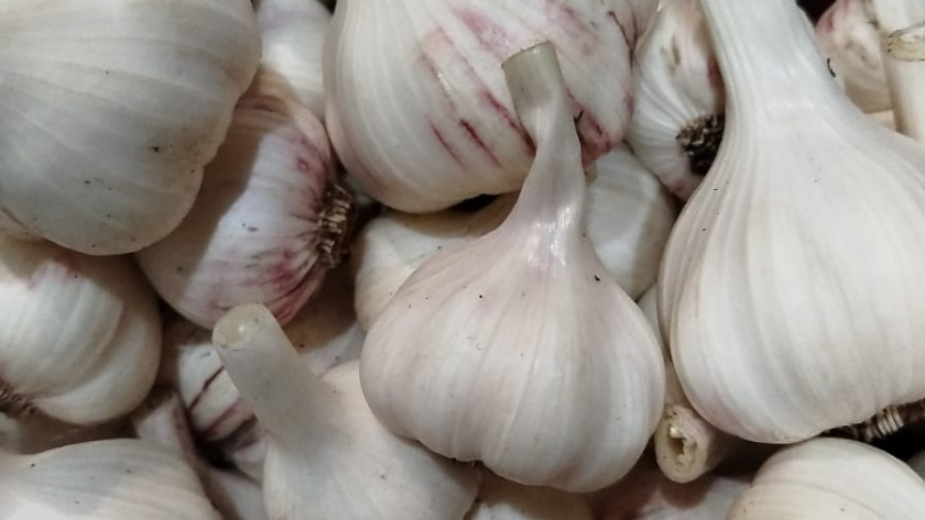    фото smilekaluga.ru