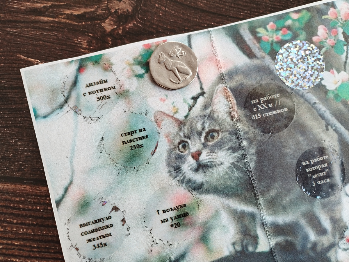 Дизайн с котиком 300х