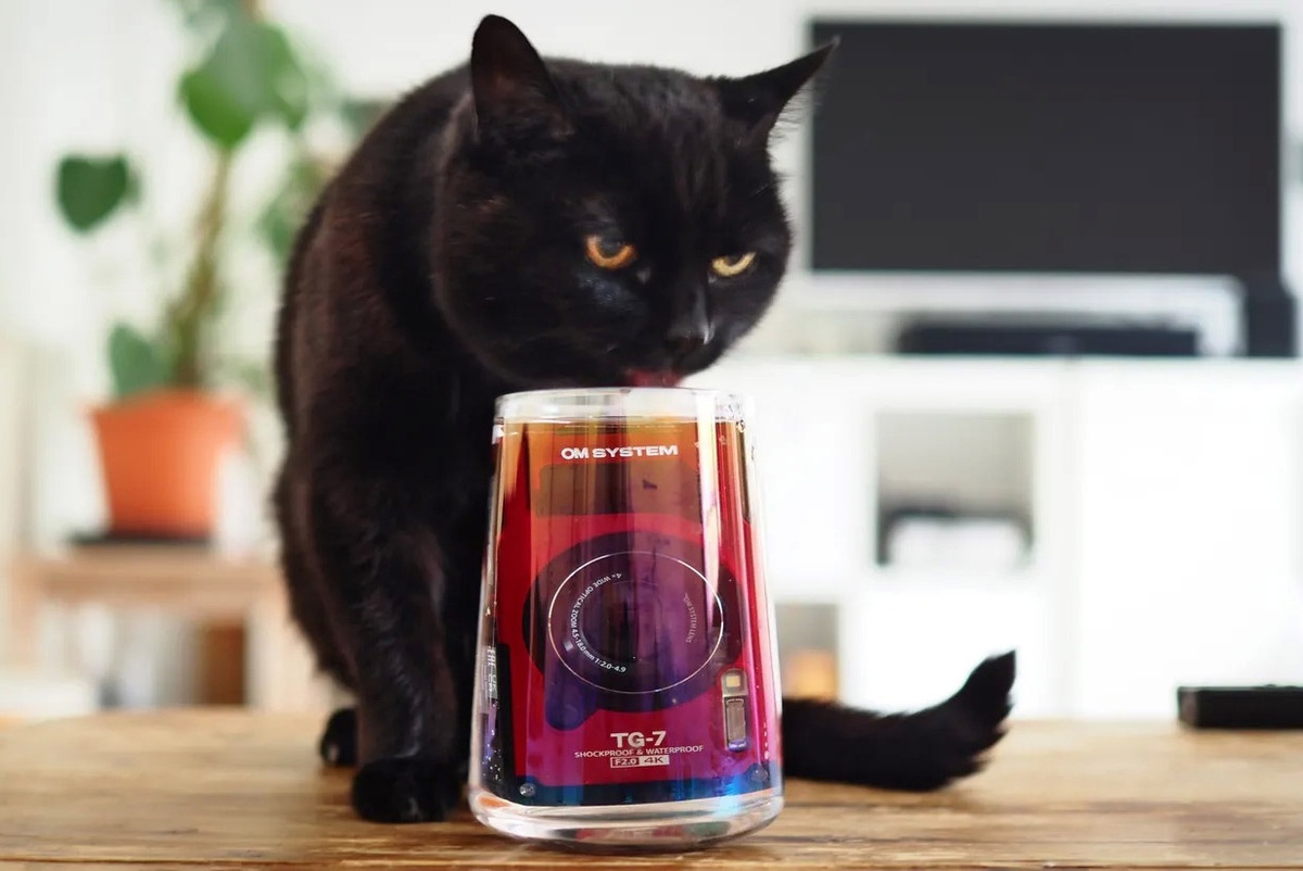    Камеру на фото сразу заметили? А она здесь есть / Фото: digitalcameraworld.com