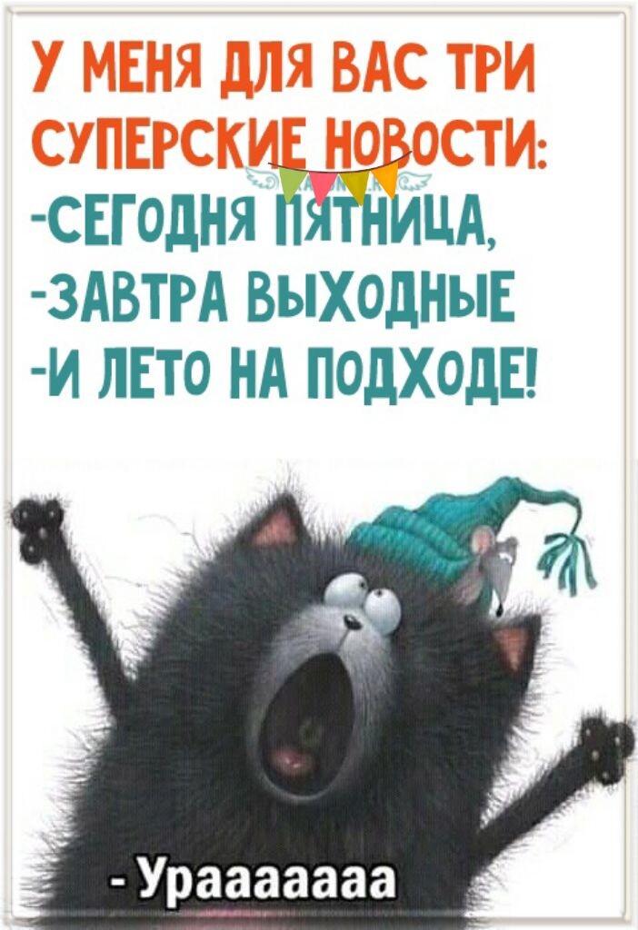 Яндекс картинки 