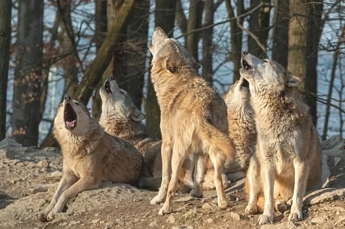    Могут сглазить!