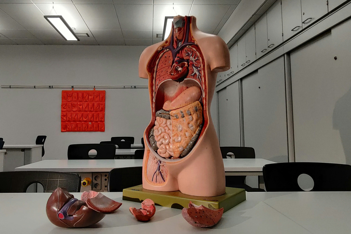    Фото: unkn0wncat / Unsplash.com