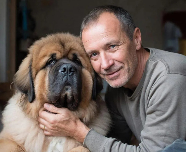 Собаки любят ласку, но не все и не везде