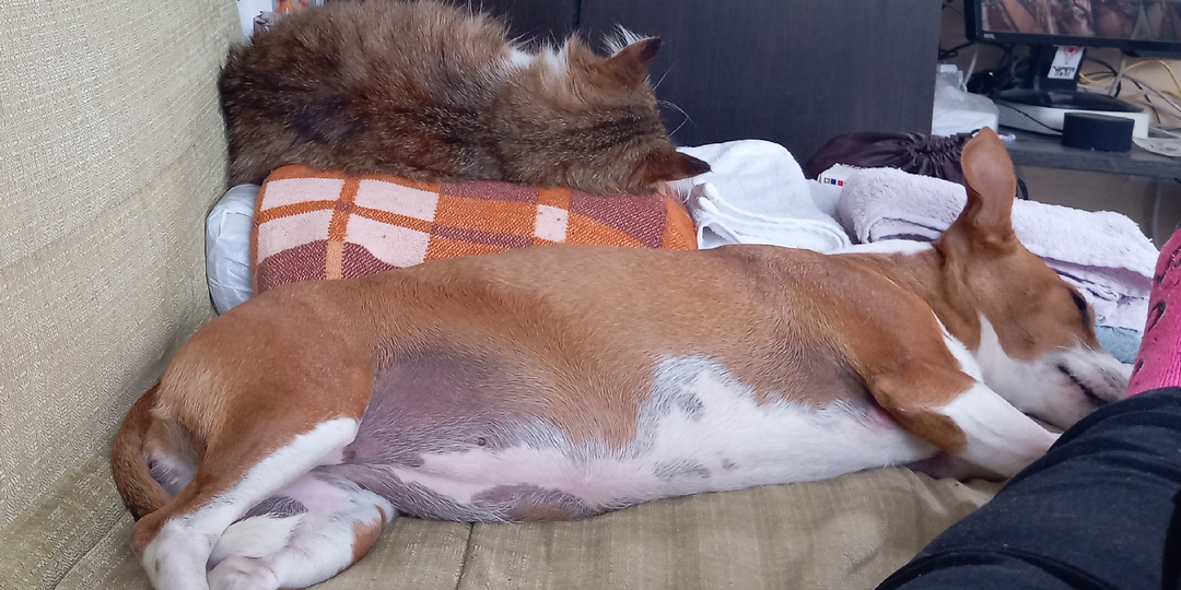 Немного о заботах сиделки