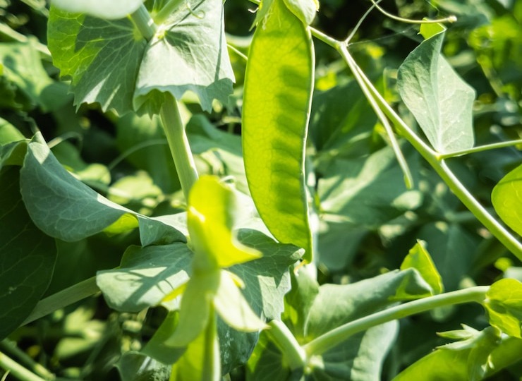 Чт-Пт. Ходила на д/р. Разговор, который ни к чему не привел.