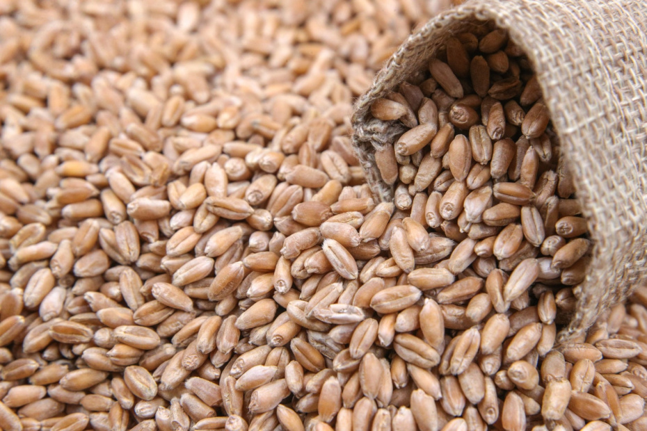    Сергей Булкин/NEWS.ru