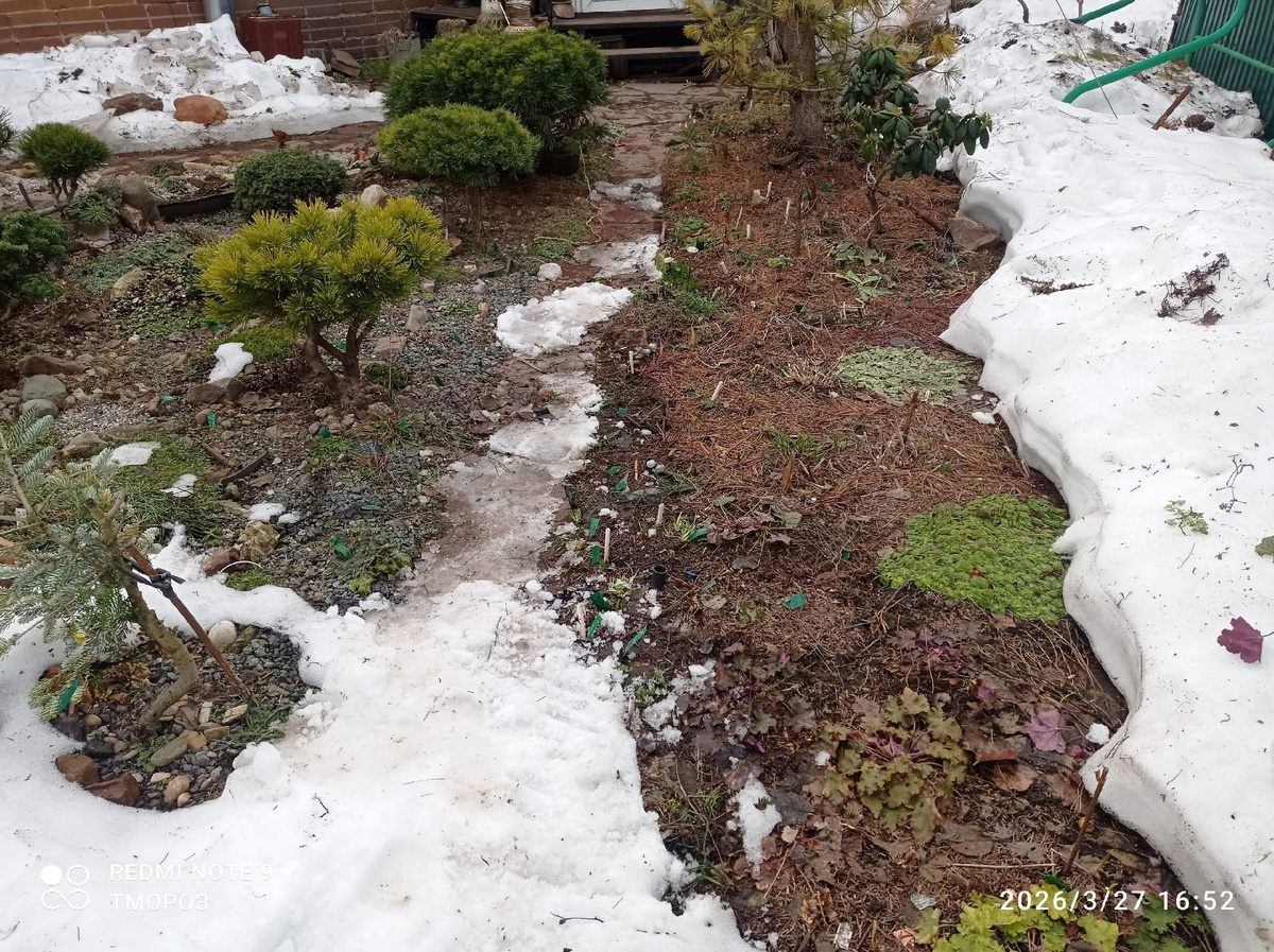 почти оттаяло