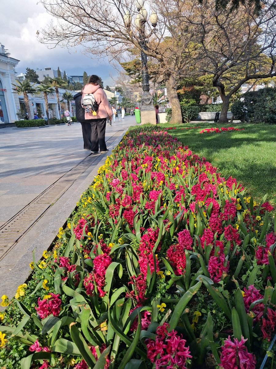 На набережной цветут крокусы.