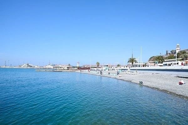    Фото: t.me/officialsochi