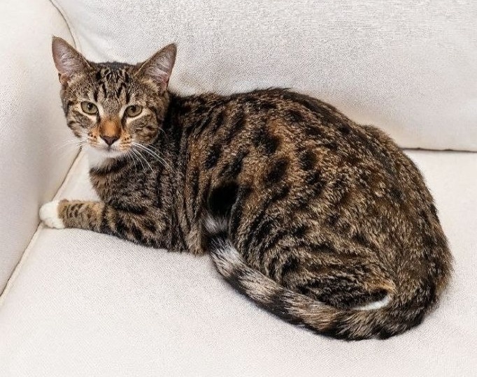 И без хулиганок у нас на #найдидруга_28марта нельзя! Встречайте Йону