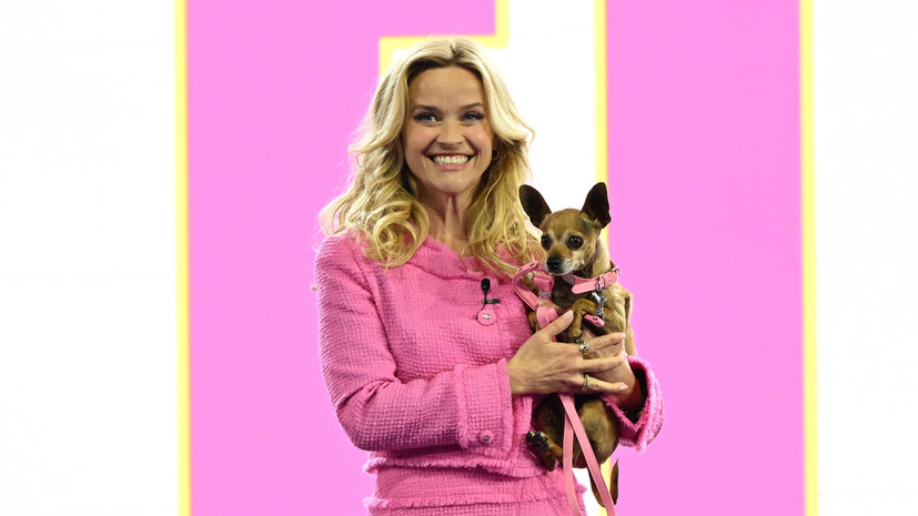   Gettyimages.ru Slaven Vlasic