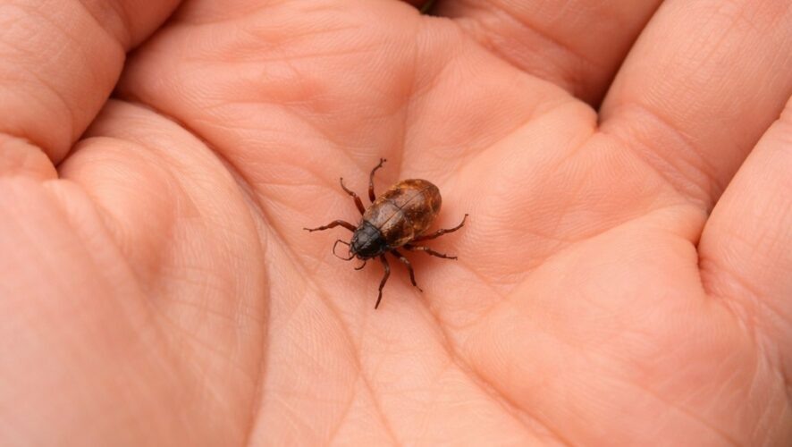    Фото: сгенерировано ИИ