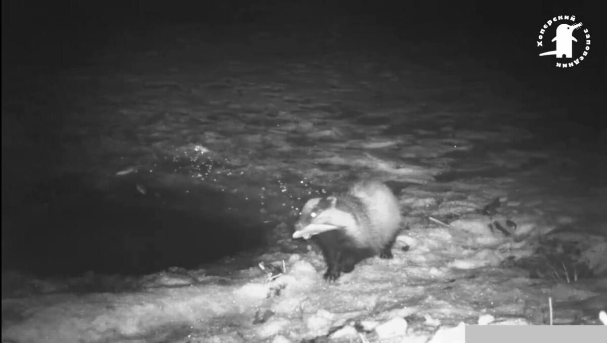    Фото: скриншот из видео Анны Давыденко