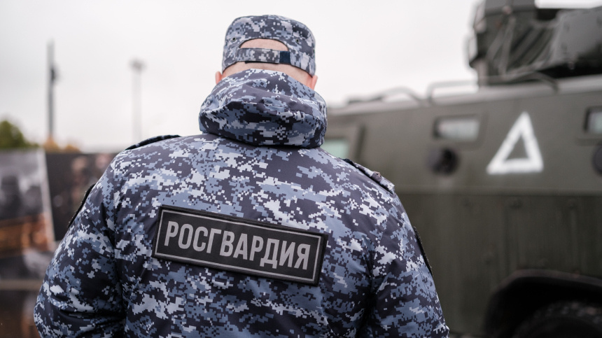    Фото: ИЗВЕСТИЯ/Сергей Виноградов; 5-tv.ru