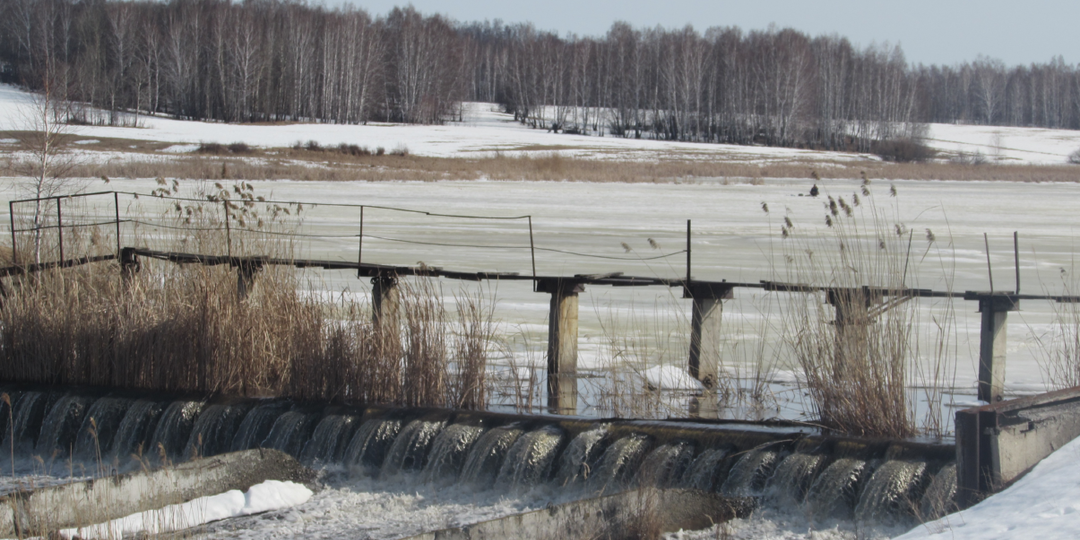 Минутка "необъяснимого" из мира леса и сельской местности