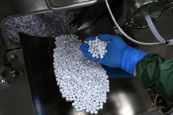 Алексей Майшев/РИА Новости   📷