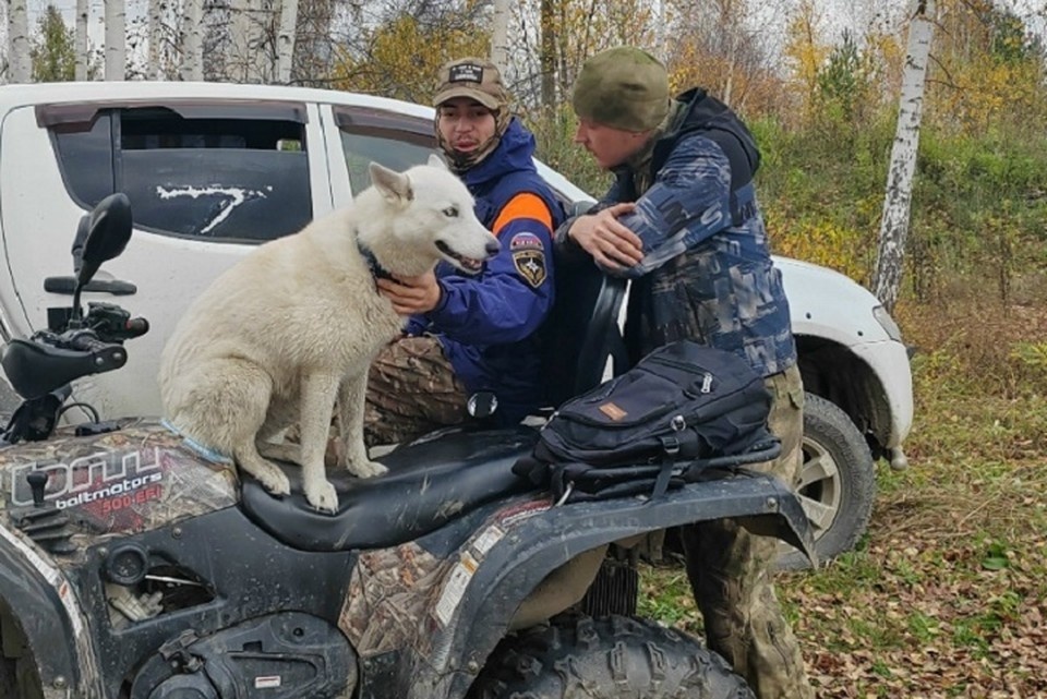    Волонтеры начинают активный сезон поисков. Фото: поисковый отряд «Прорыв»