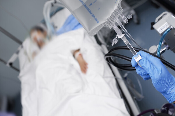 Shutterstock/FOTODOM   📷