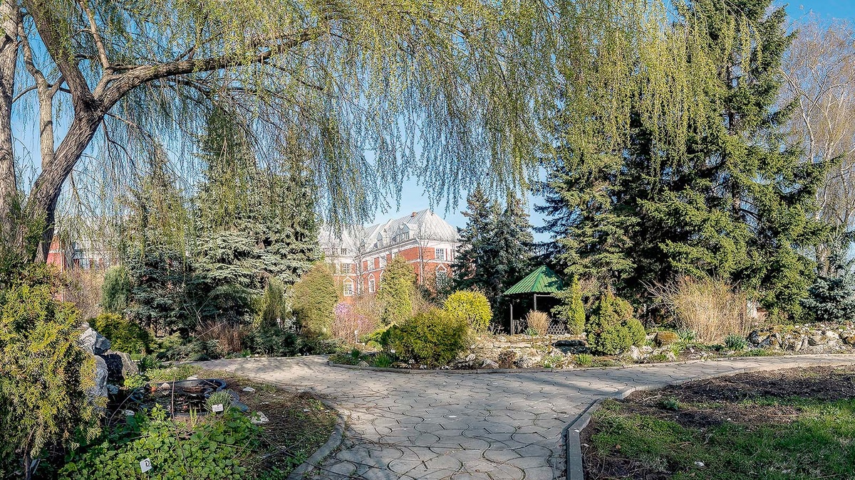    © пресс-служба ПГНИУ