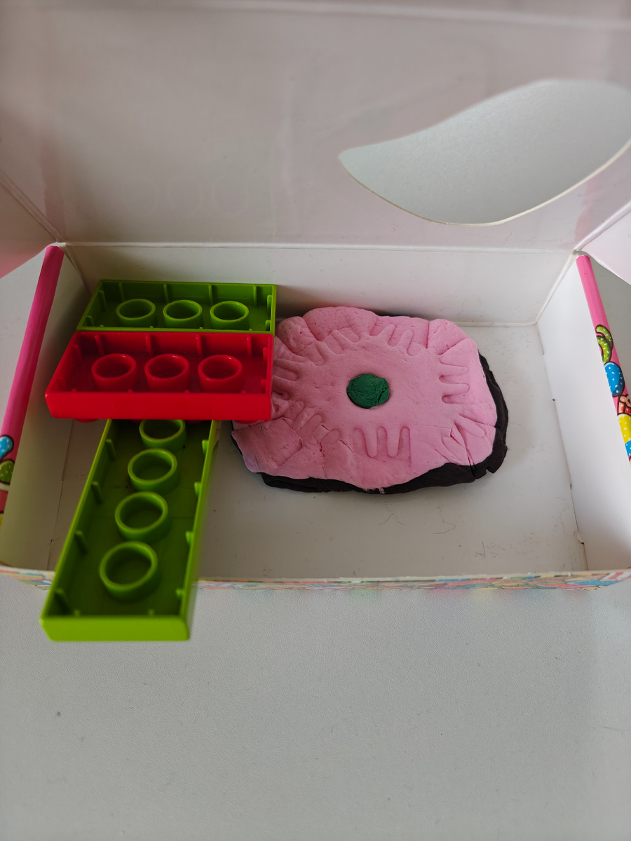 Арсений слепил из воздушного пластилина тортик, из лего сделал ложку, упаковал тортик в коробочку из под какой-то игры, кормил этим тортиком бабушку, меня, Сашу. 