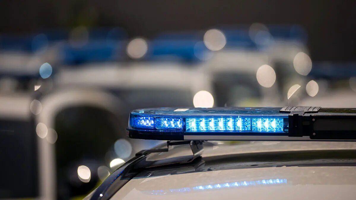    Источник: vm.ru/ Иван Гаврилов