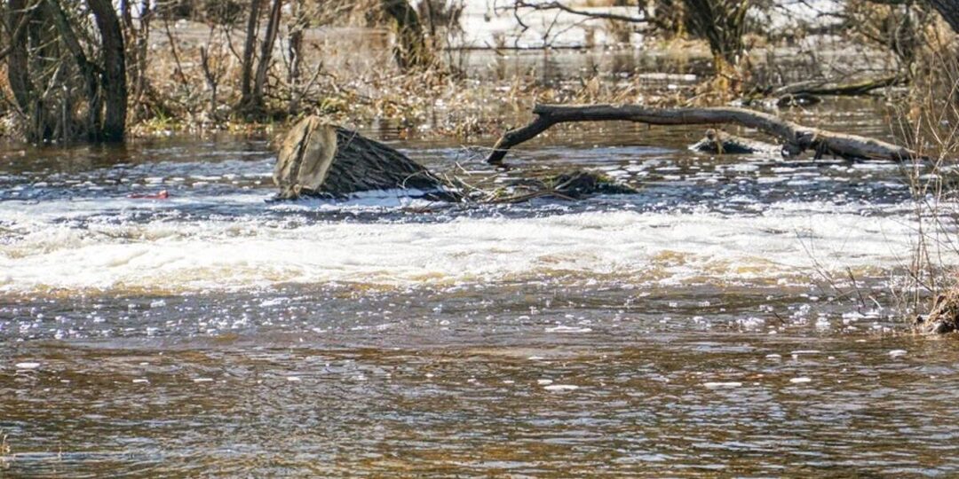 Брянские реки Десна и Болва стремительно выходят из берегов