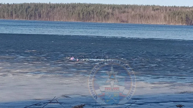 Фото: https://max.ru/id7825437330_gos/AZ0weVCQJF4